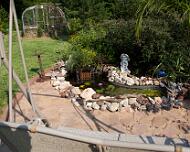 Fish Pond 2012 06 24-1