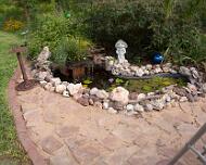 Fish Pond 2012 06 24-2