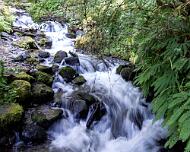 Wahkeena Falls