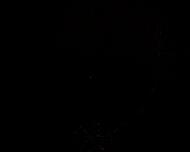 ISS flash1 336_0829 NASA 2008336