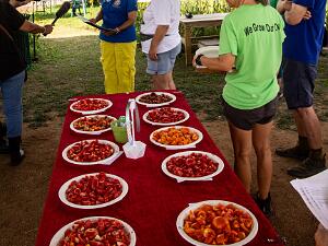 Tomato Tasting 2025