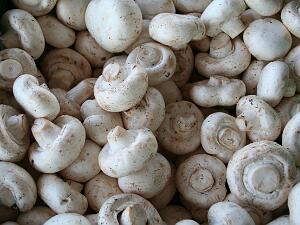 Fruits and Vegetables